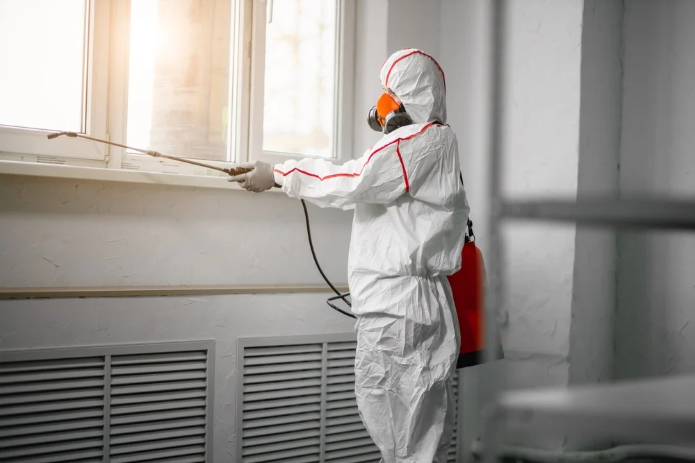 Professional mold remediation services in Waterloo, IL